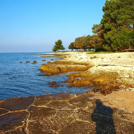 Für 4 Personen Ca 60 Qm In červar-porat, Istrien Istrische Riviera Apartamento Poreč